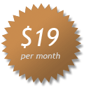 $19