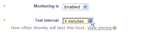 Server monitoring interval